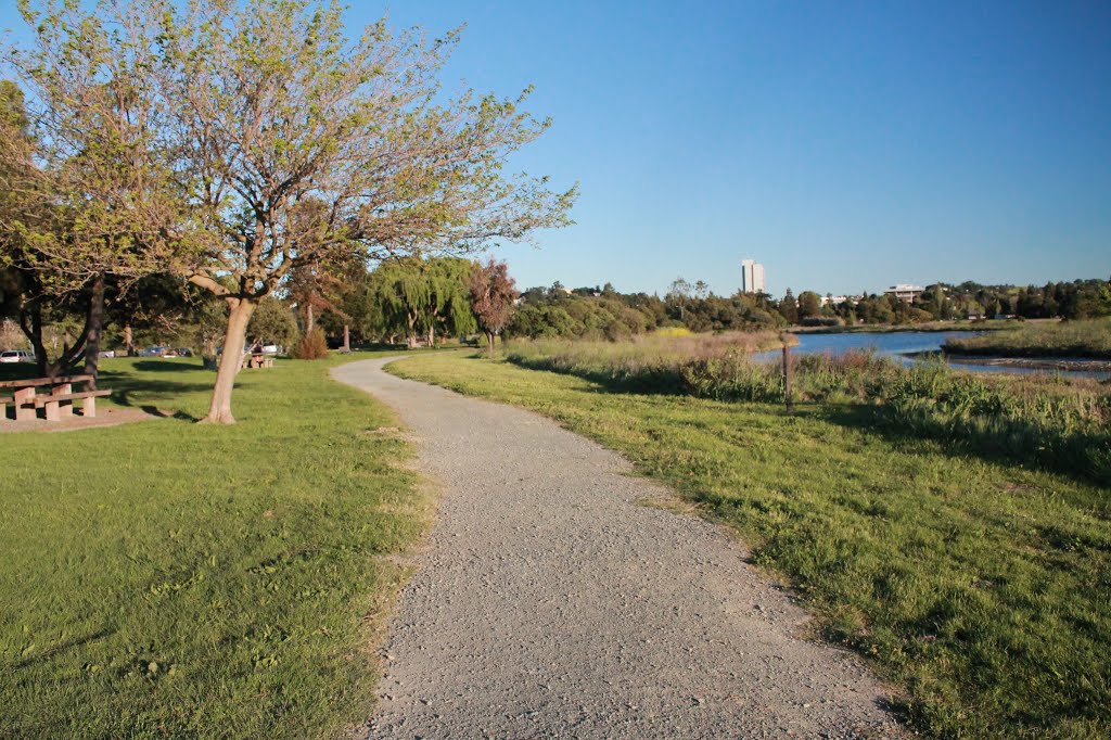 Martinez Regional Shoreline by Nikki.R