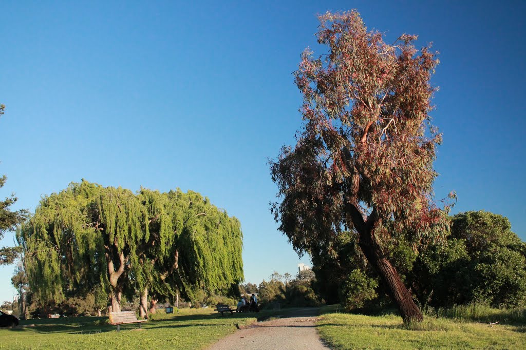 Martinez Regional Shoreline by Nikki.R