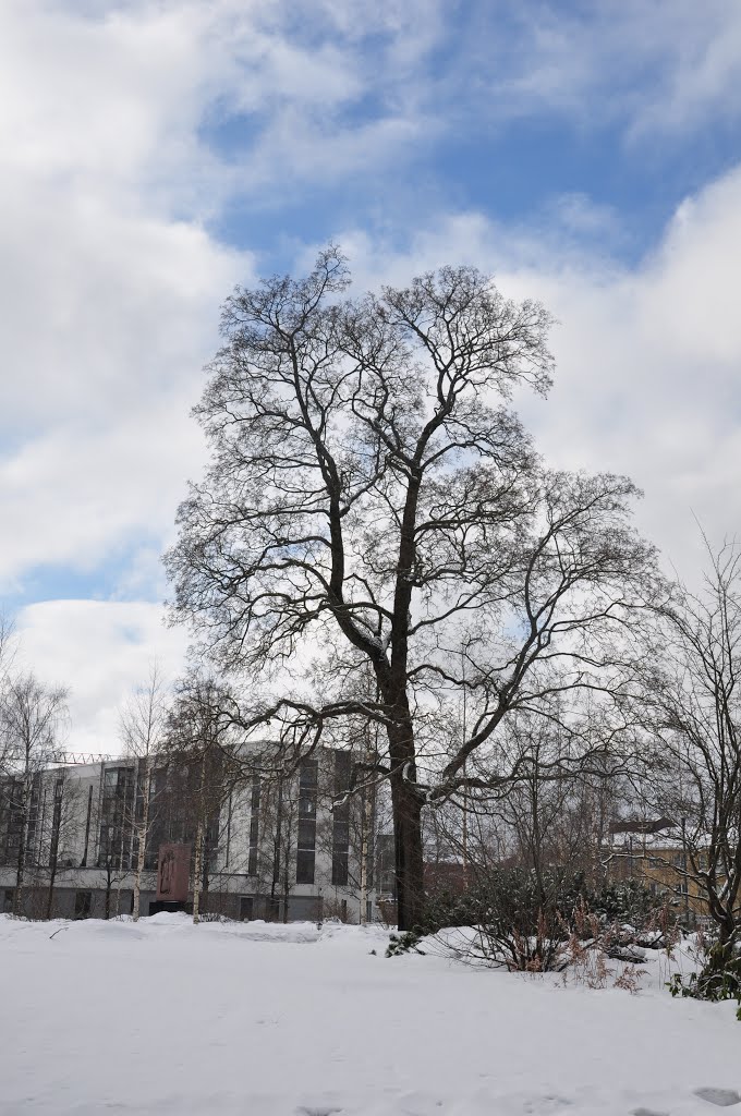 Лаппеэнранта. Центральный парк / Lappeenranta. Central Park by Ann78