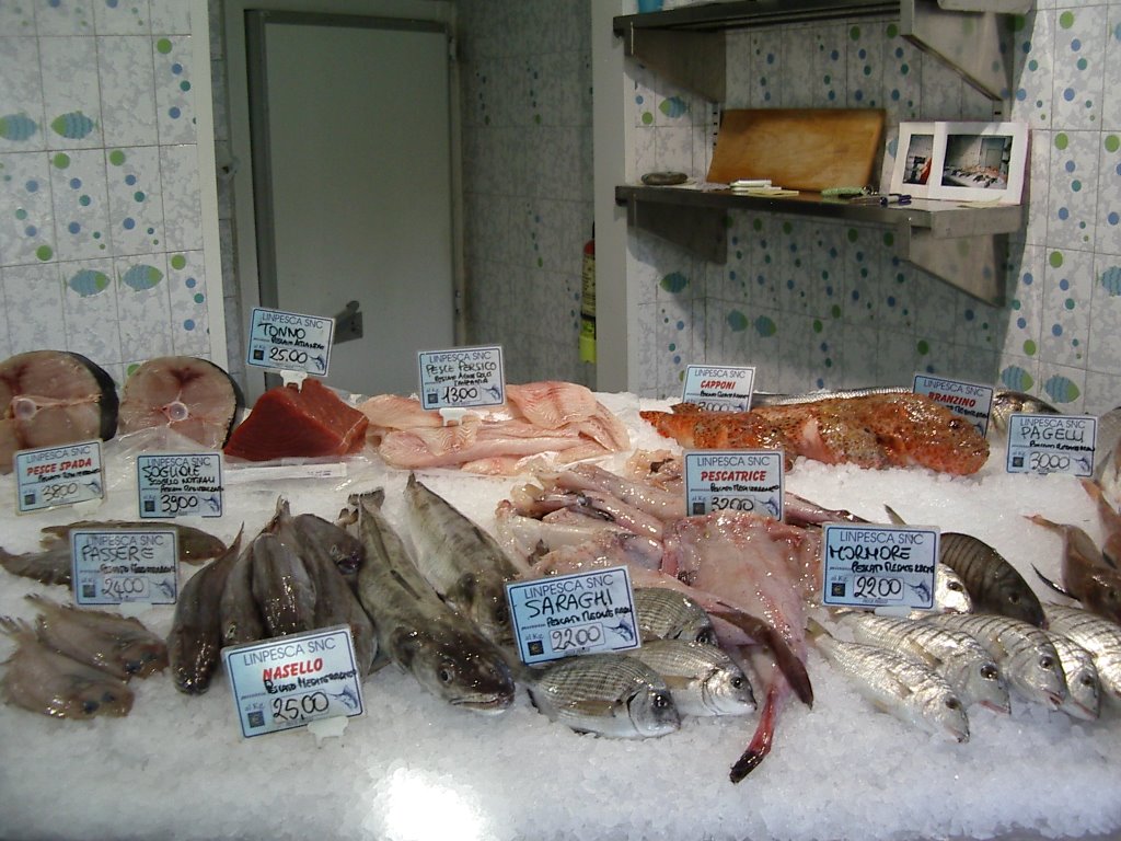 Levanto Fishmarket by nata1ie