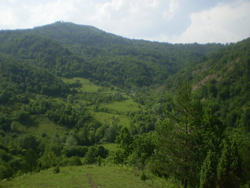 Pogled sa kosice by Stojic Milos