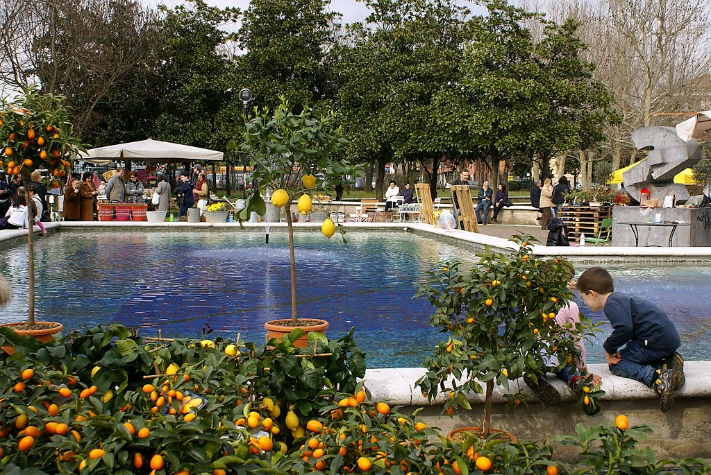 Primavera lombarda: composizione con fontana a "Giardini in fiore" edizione 2013 - Cesano Boscone ( MI ) by effeelle