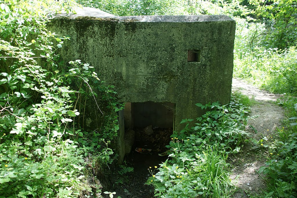 CZCHÓW - RINGSTAND 58C - A2 STELLUNG by Łukasz Świetlik