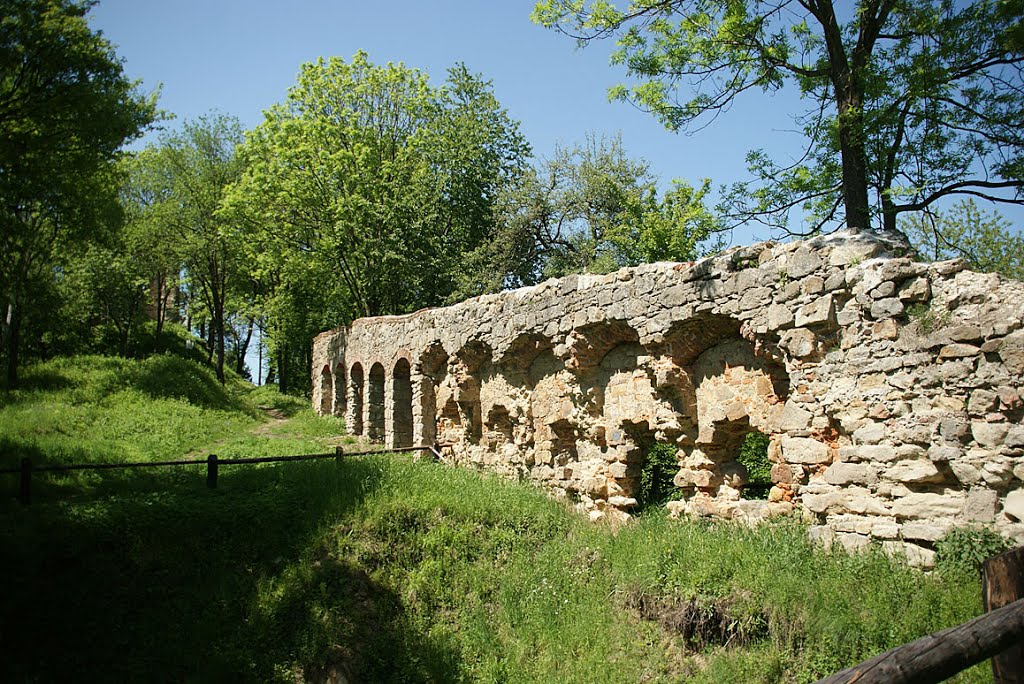 MELSZTYN - ZAMEK KASZTELANA by Łukasz Świetlik