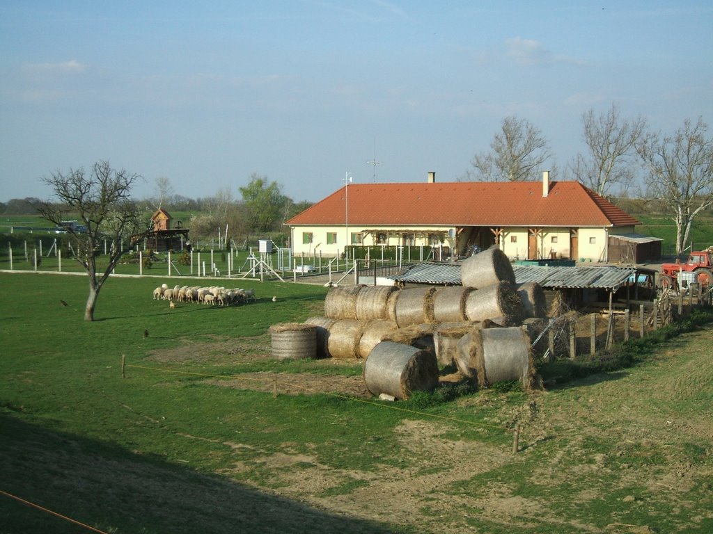 Birkatelep Dombiföld / Sheep farm, (Apr,10,2007,Tue) by PanoramioHungary