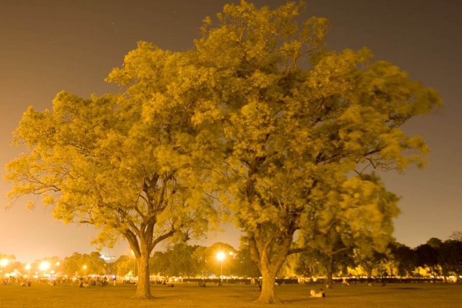 India Gate lawns at night by Anindo