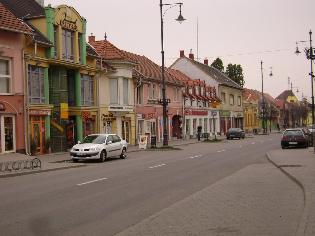 Main Street to Slovakia - Igmándi út, 8.March, 2008 by PanoramioHungary