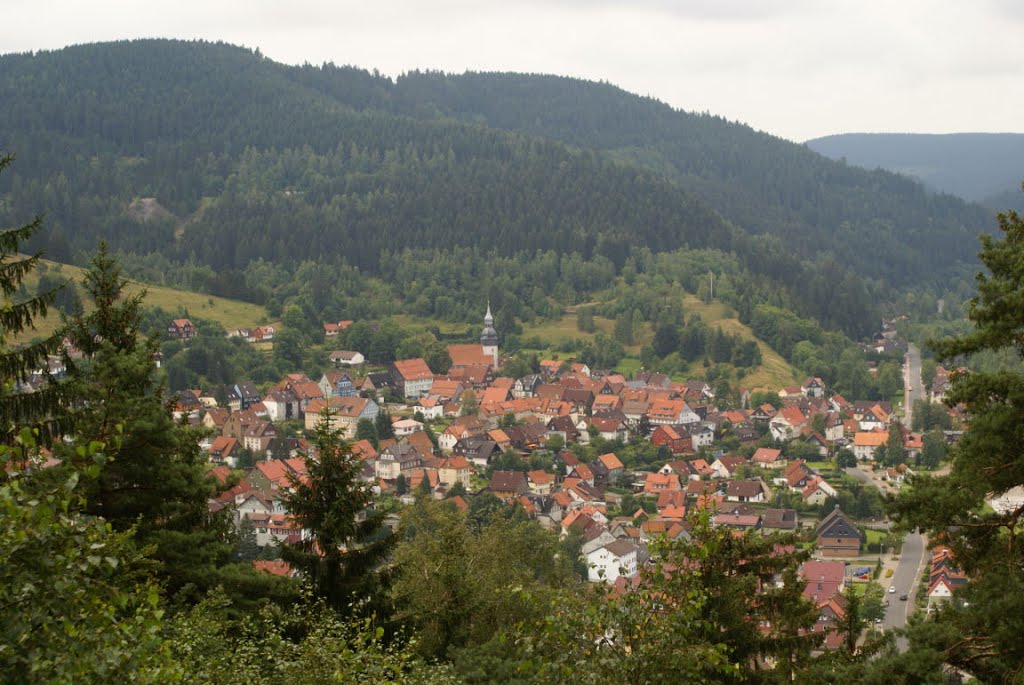 Blick auf Lautenthal (Harz) by Altmeister