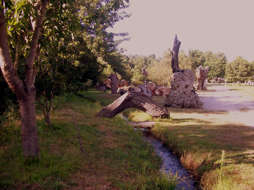 Finca Galea Museo del Agua Alfoz Lugo by © xeima