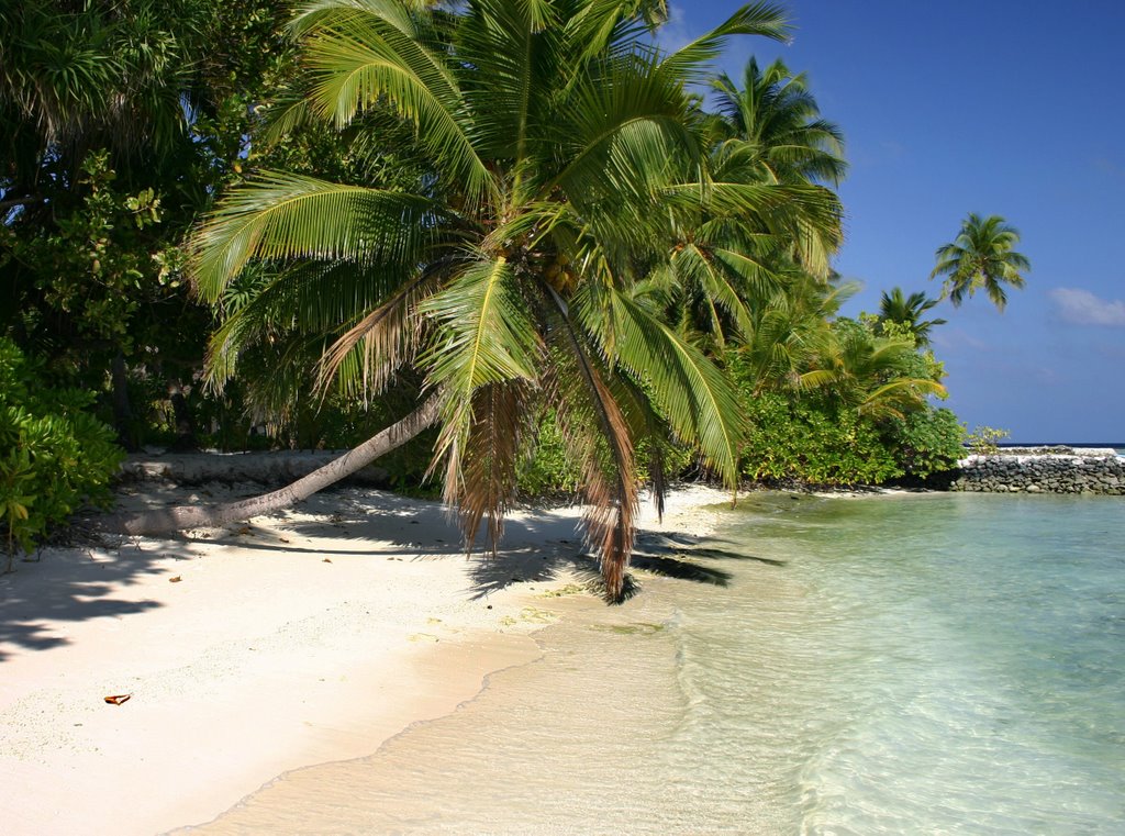 Beach at Kuramathi Island by steve.millward