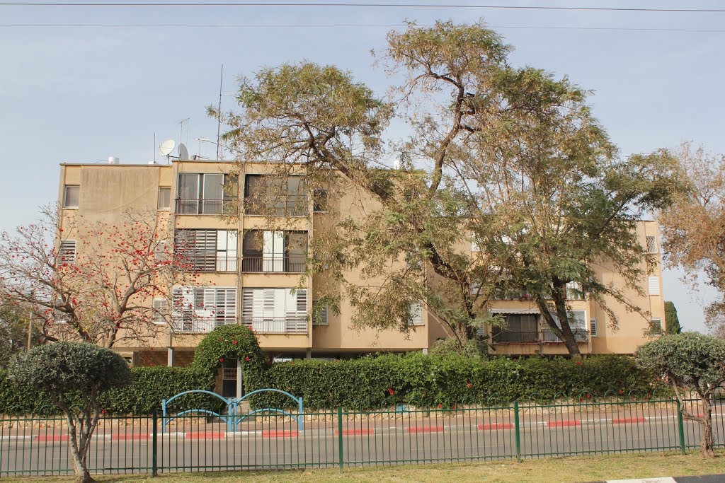 Residential building on the main street of Pardes Hana - Karkur by Genet