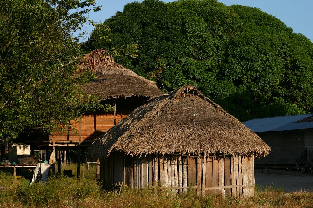 Palumeu, Sipaliwini, Suriname by Hans Sterkendries