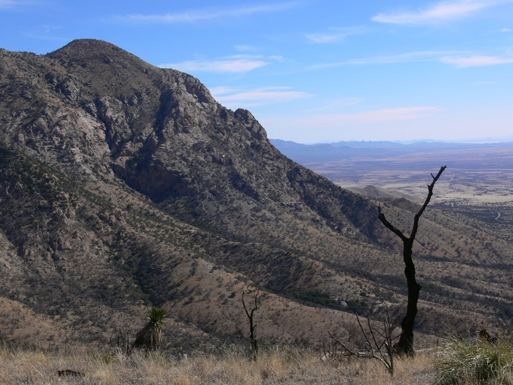 Coronado National Memorial (Kaibab Trail), Hereford, Arizona by J.gumby.BOURRET