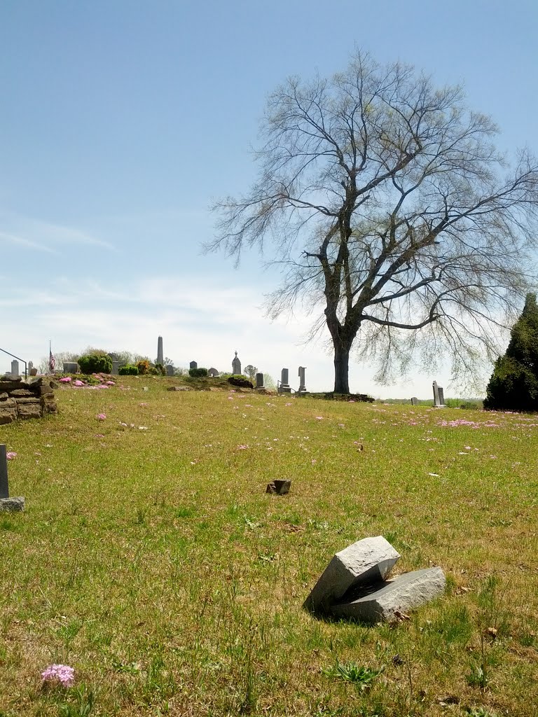 Dallas City Cemetery by Joseph Mueller