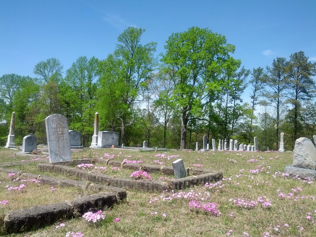 Dallas City Cemetery by Joseph Mueller