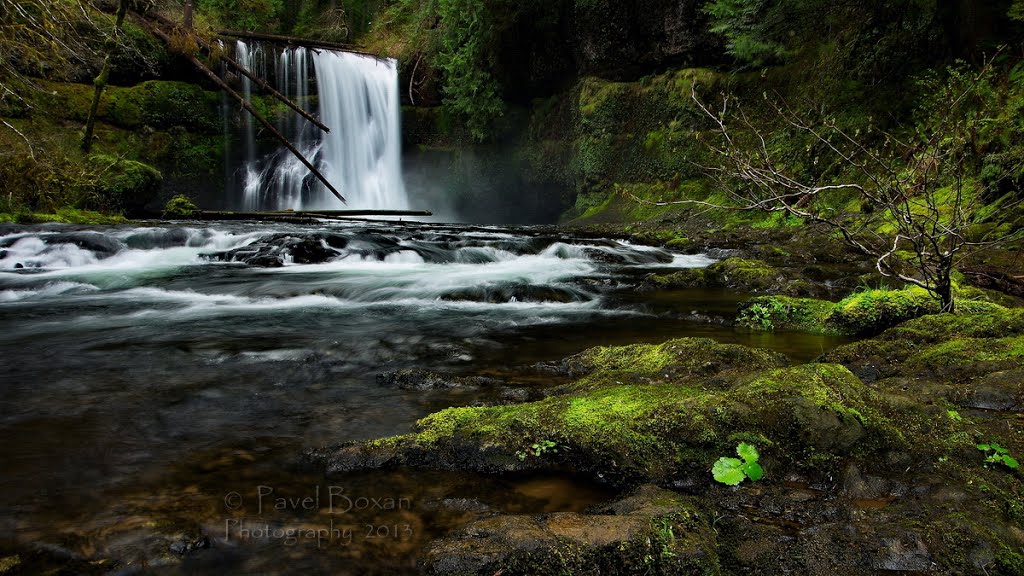 Upper North Falls | Silver Falls Sate Park | Oregon by Pavel KarloS