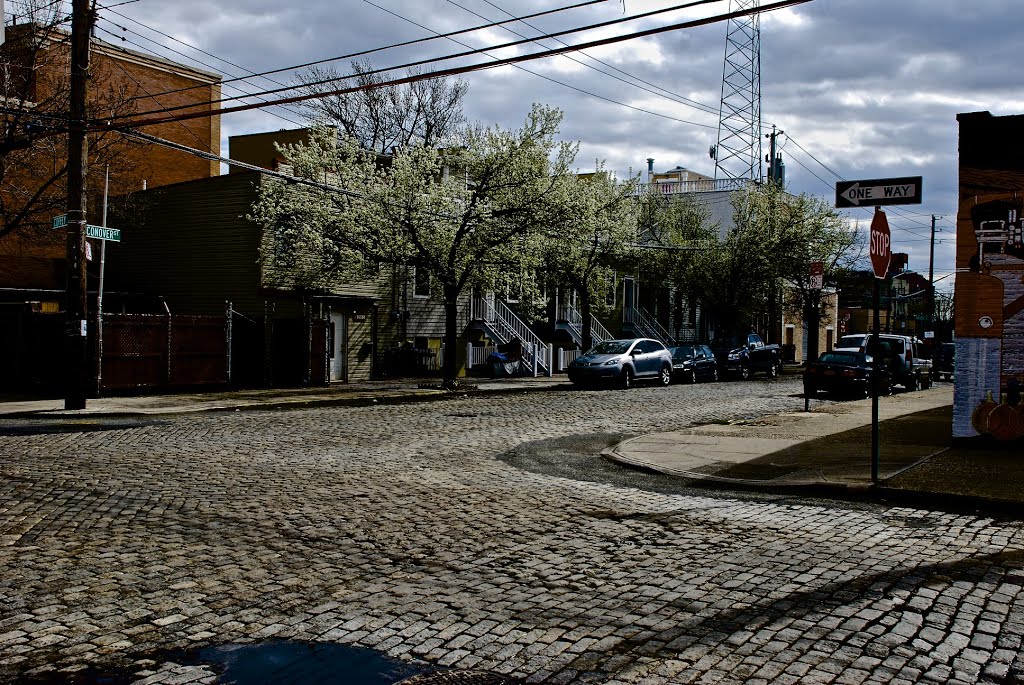 Red Hook by Eamonn Dougherty