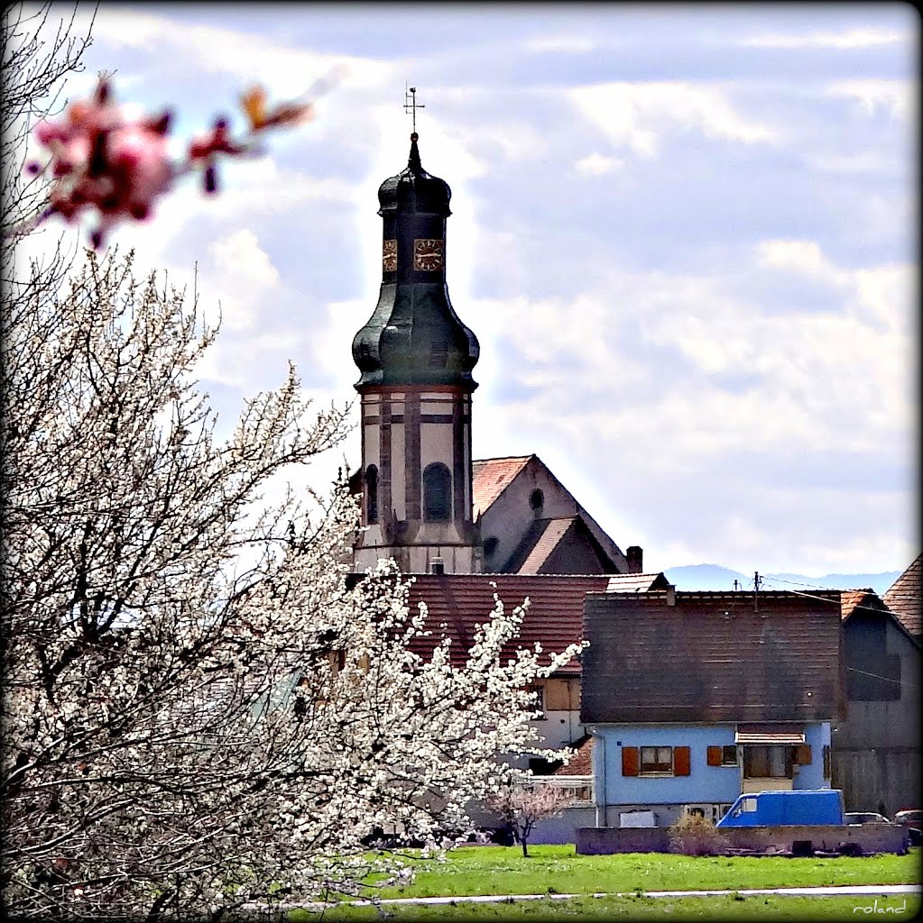 Le printemps arrive..... enfin..! by Rol/Photo/Alsace