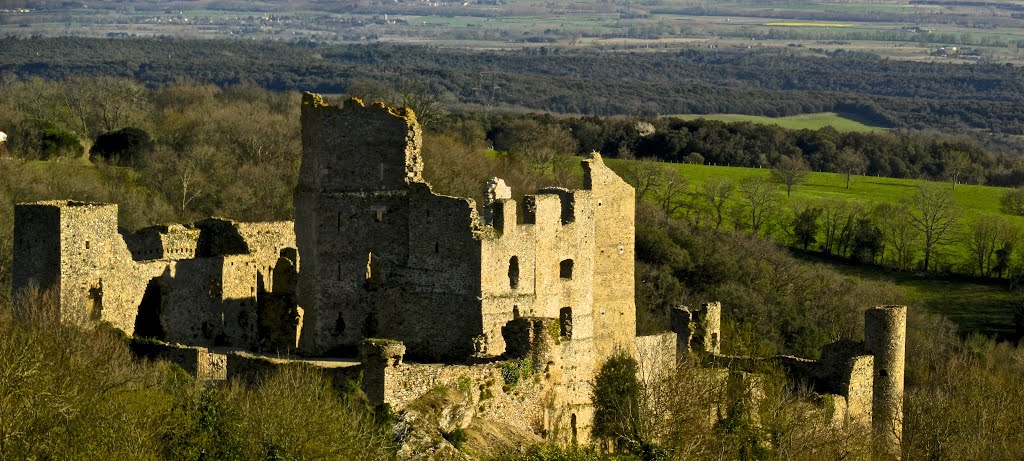 Castèl de Saissac de Cabardés by Franc Bardou