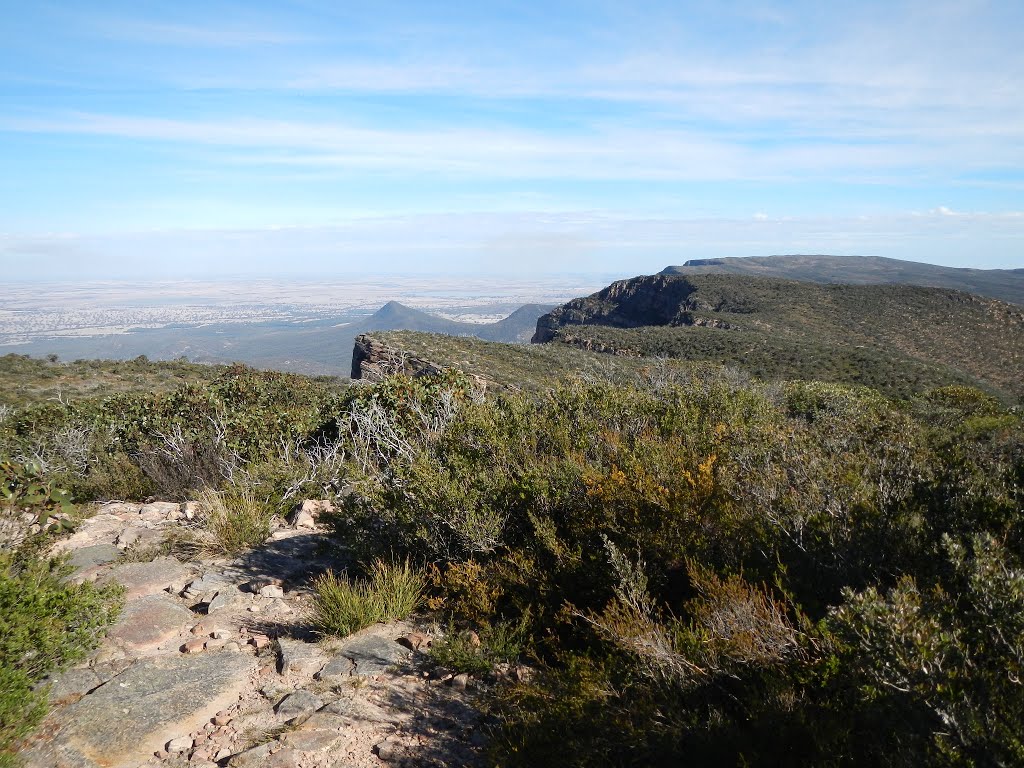 On the major mitchell plateau track by zhunt