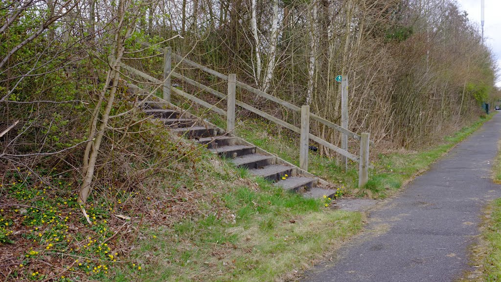 Footpath, Wilmslow by Dennis Neill