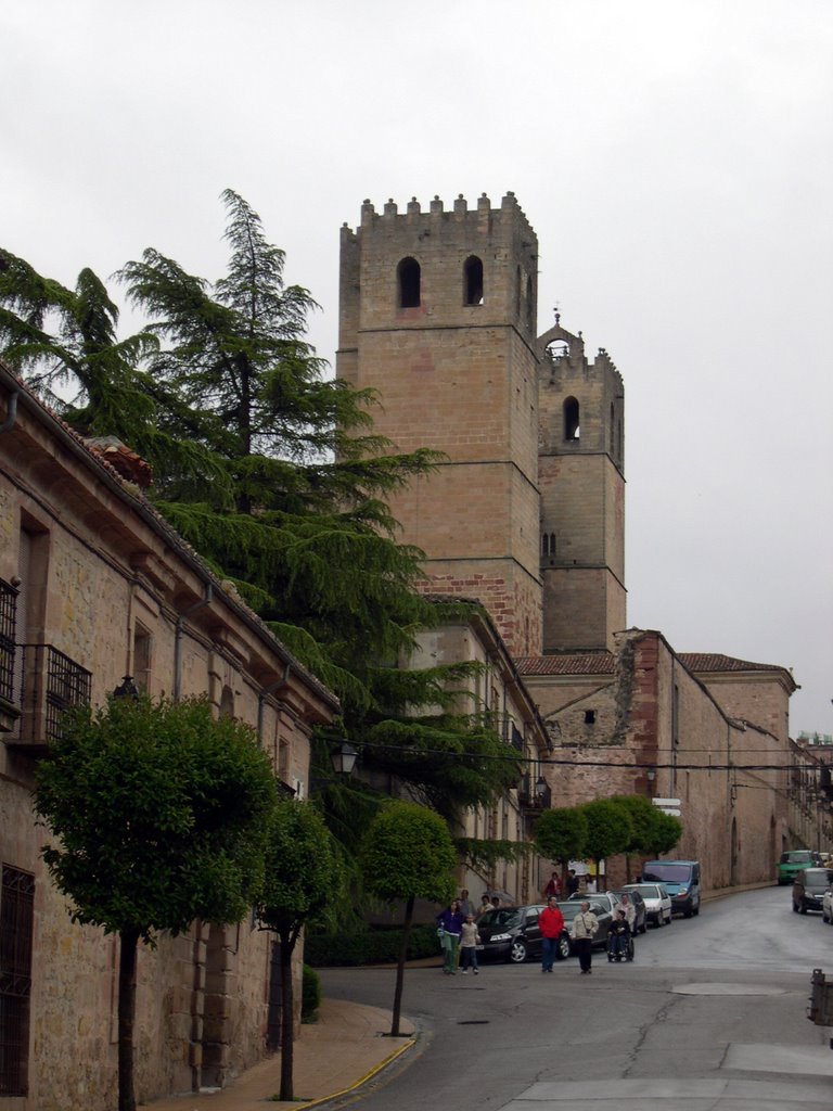 Catedral desde La Alameda by Cesar Perez Ortega