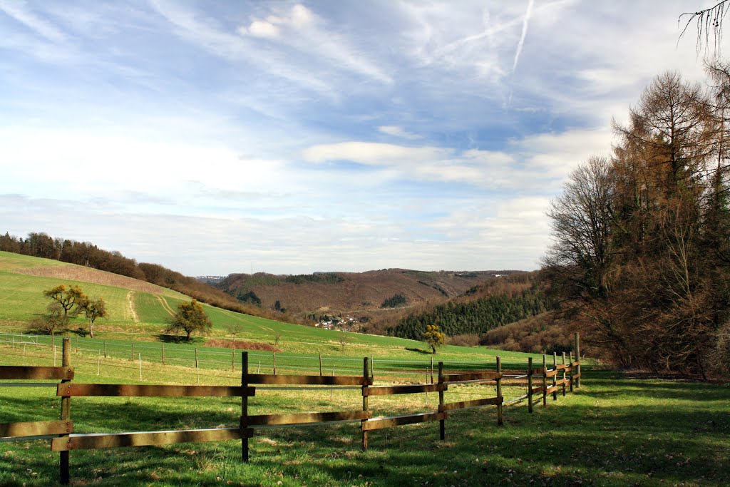 Blick nach Nassau by oller rainer