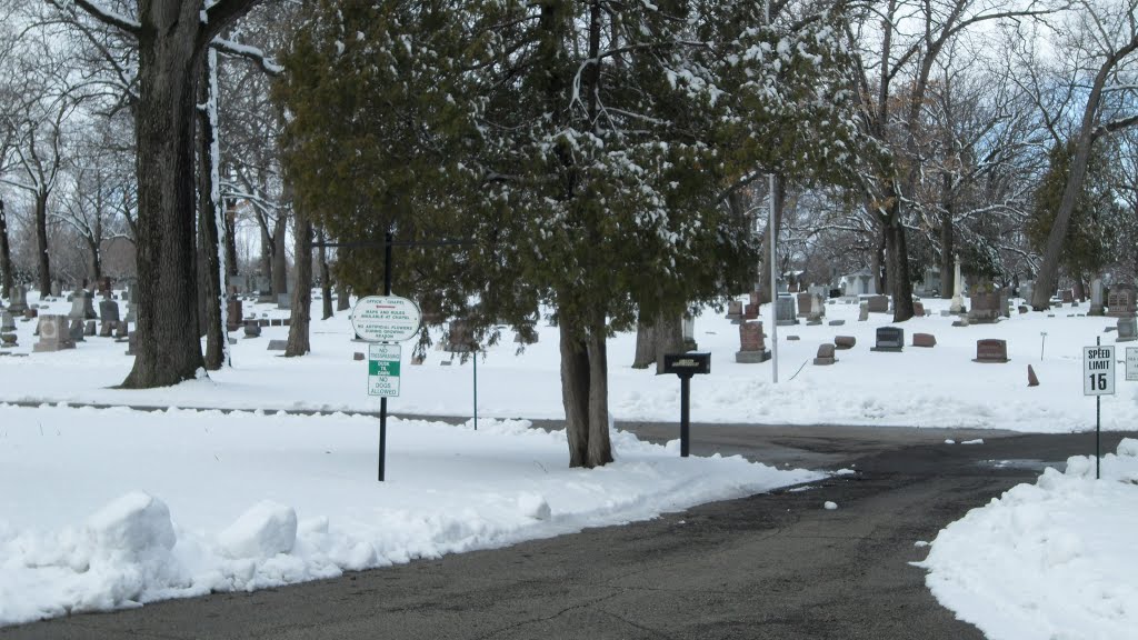 Woodlawn Cemetery by Bfcharit