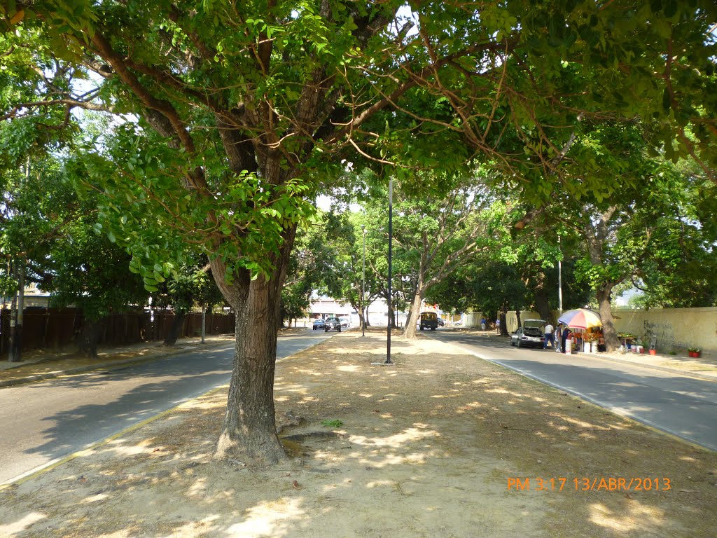 Calle Paseo Valencia. Naguanagua. (2013) by Oscar Jesus Medina Dacosta