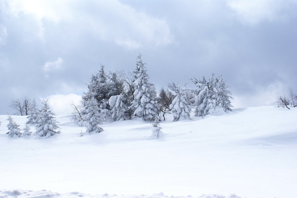 Winter im Gebirge by Dirk Wölfl, Ehrenfriedersdorf, Germany