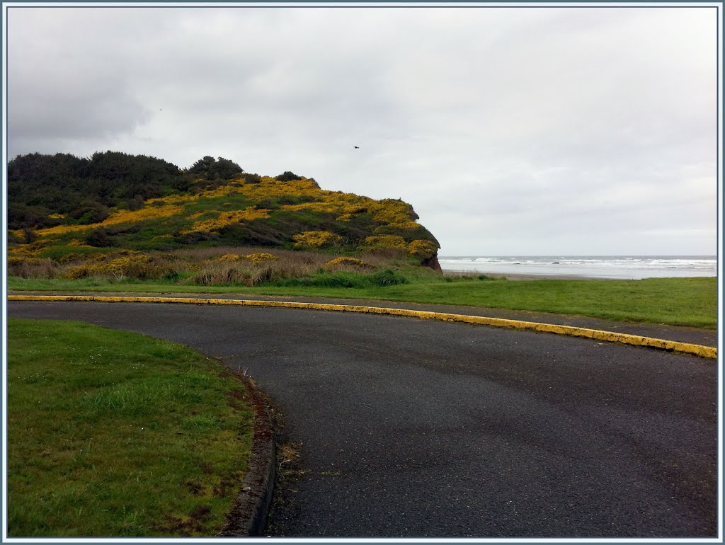 Merchants Beach - Seven Devils State Wayside (suz) by Suzi in Oregon