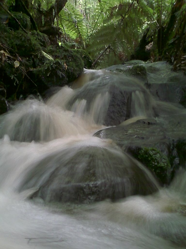 Creek after rain 2 by Greg Hughes