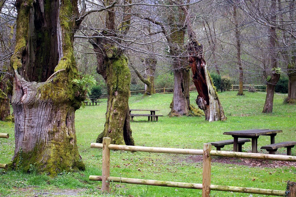 Area Recreativa de Vigonzalez, Belmonte de Miranda, Asturias by Antonio Alba