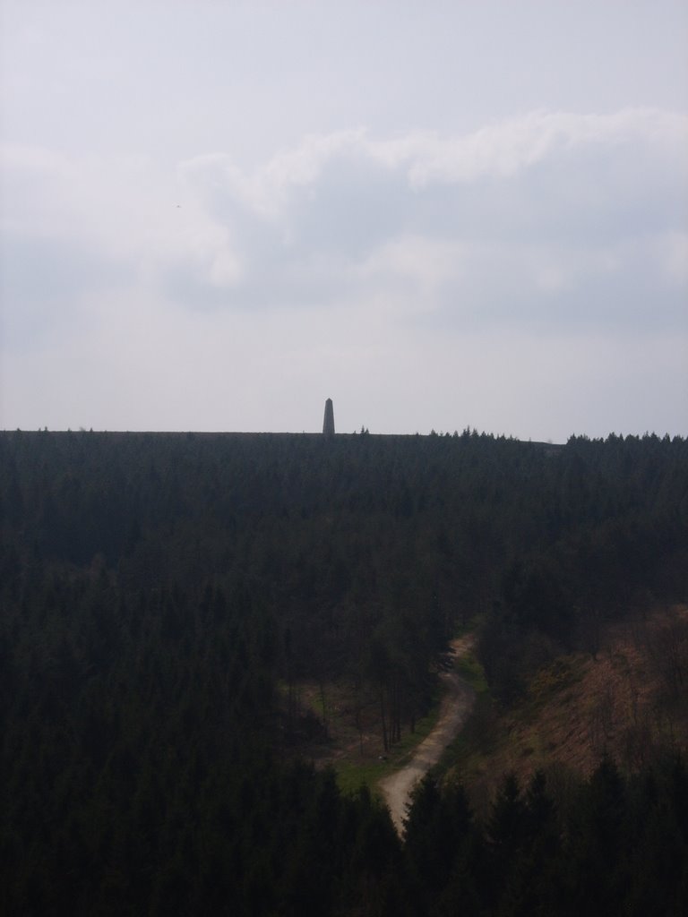 Captain Cook's Monument by James_L