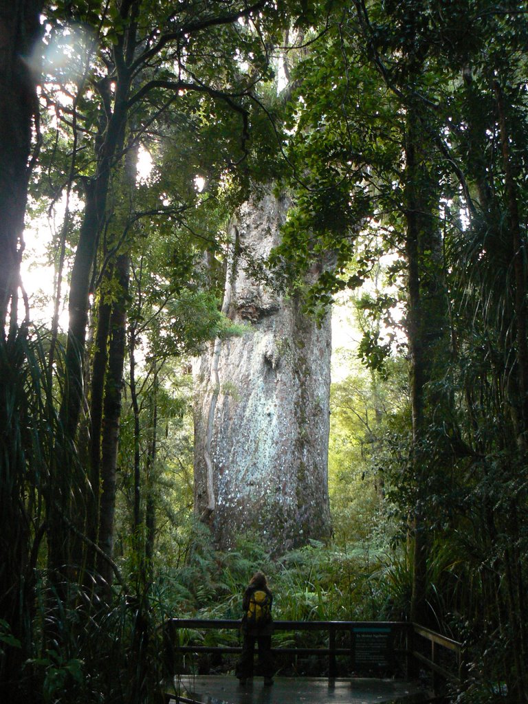 Father of the Forrest by festivalkult.de