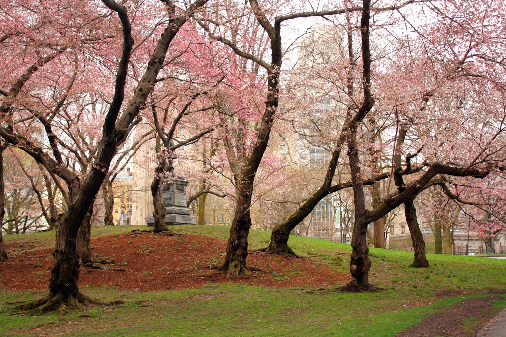 The Pilgrim statue. Central Park, New York City by MementoMori