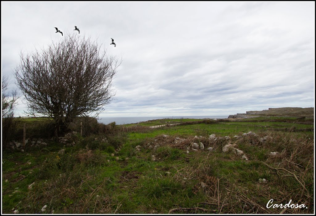 Paisaje en Pria -LLanes-Asturias. by cardosa