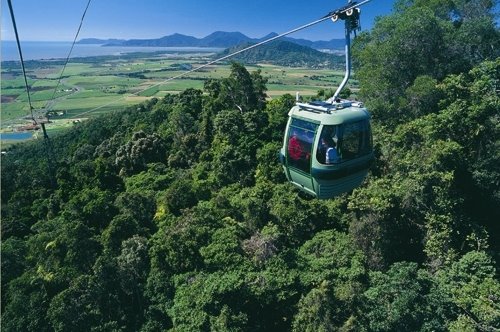 View from Skyrail by Skyrail