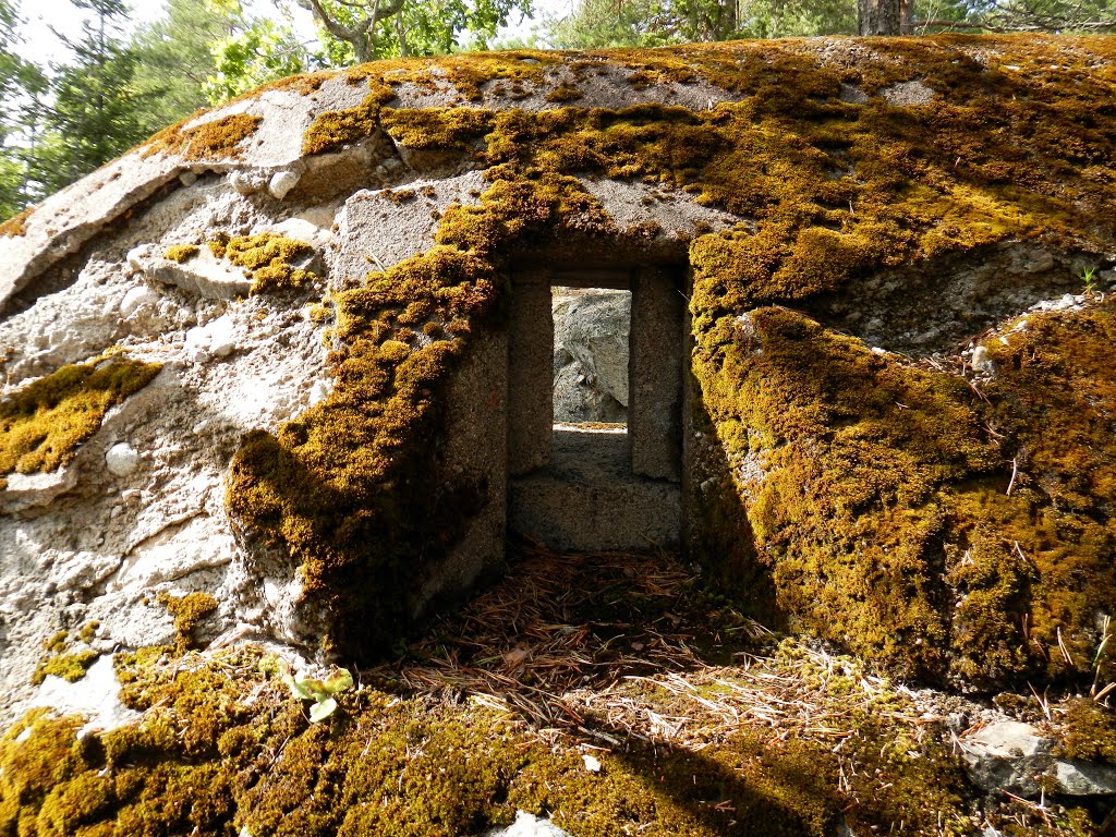 The old shooting trench near Gammelström by FoH