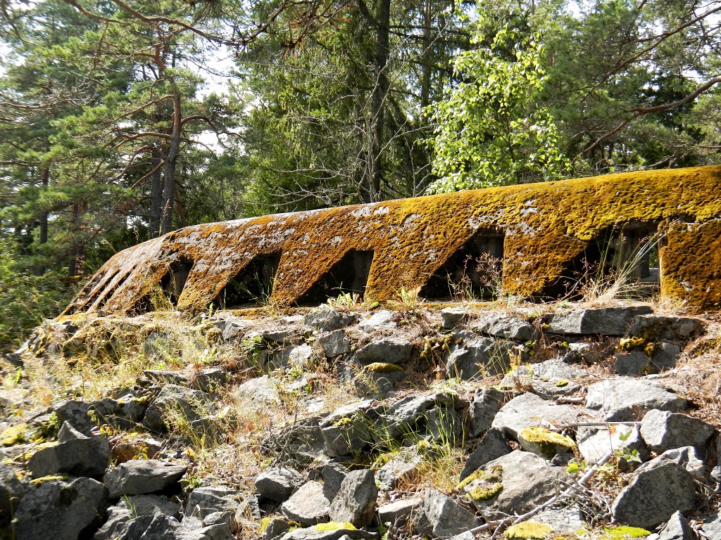 The old shooting trench near Gammelström by FoH