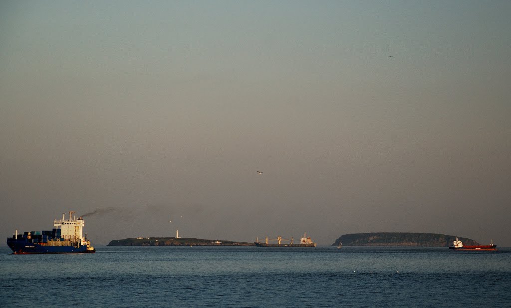 Flat Holm and Steep Holm by Pete Hurley