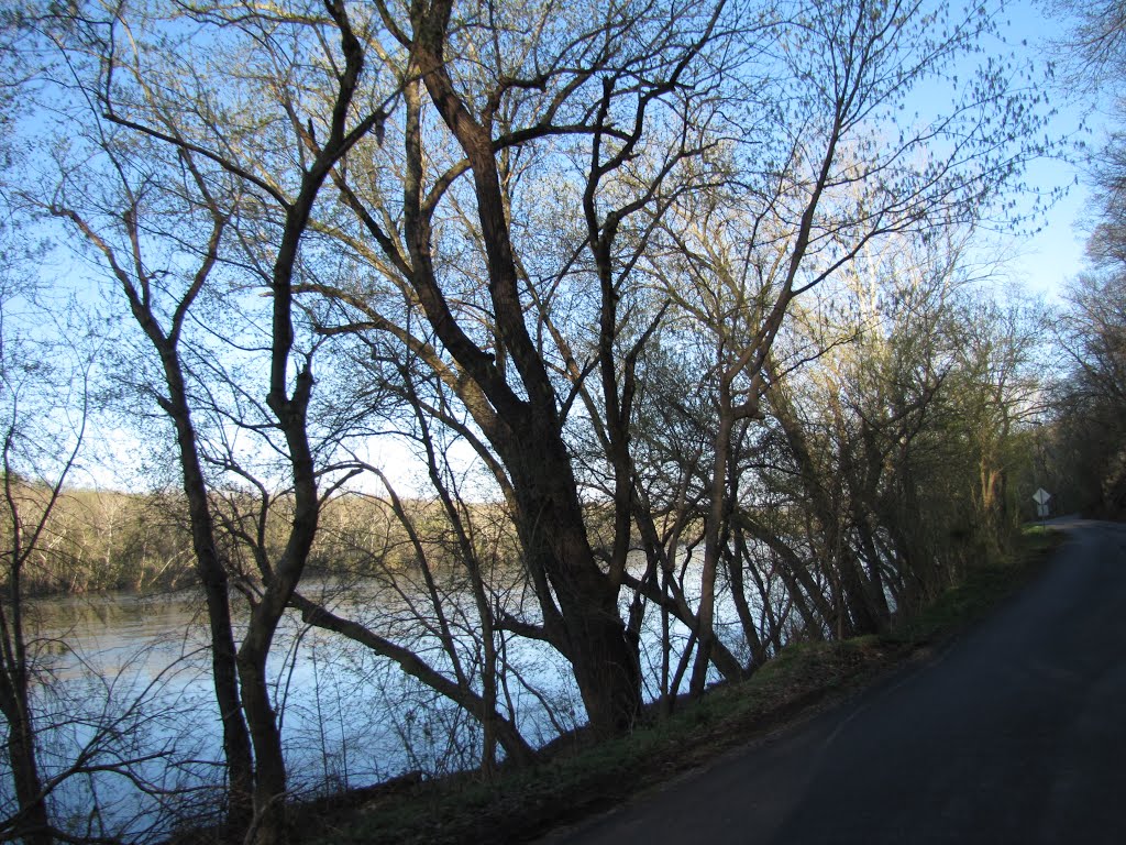 Potomac River Road by Chris Sanfino