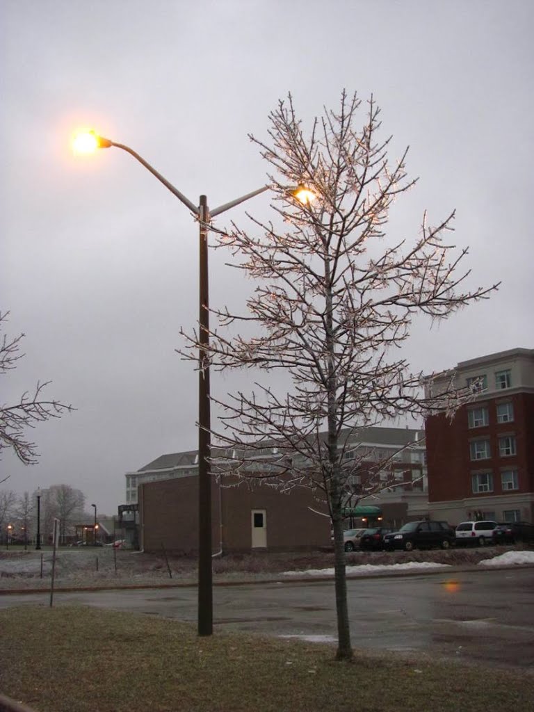 April 2013 ice storm by natureguy42