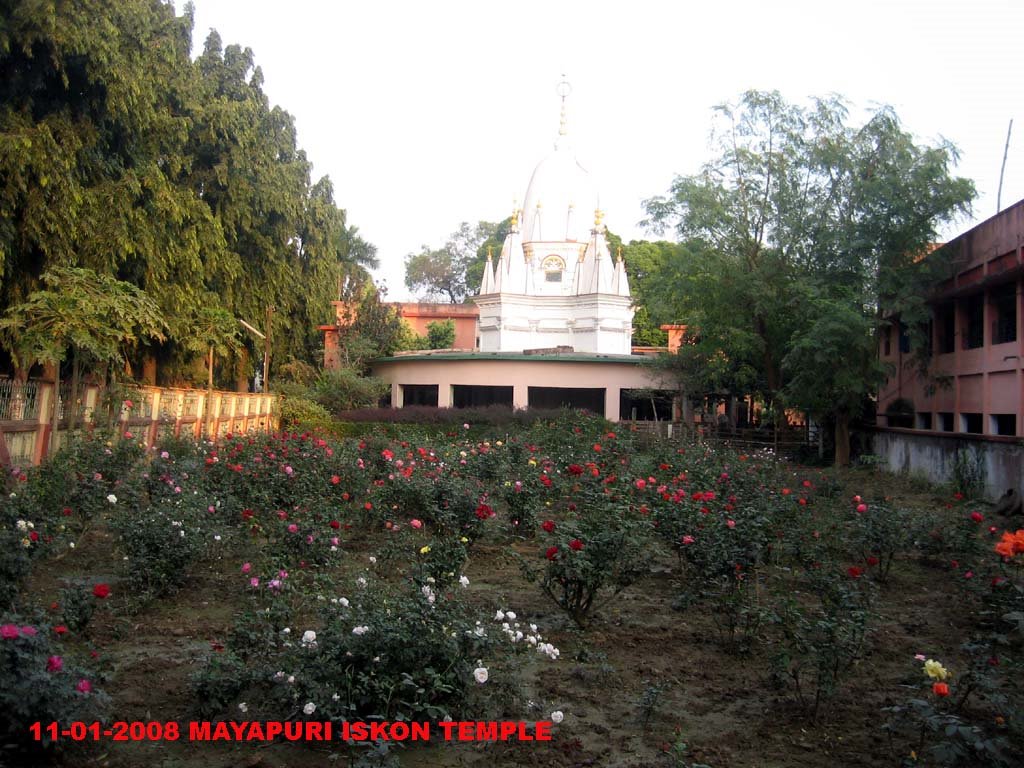 GARDEN IN TEMPLE by rdbansiya