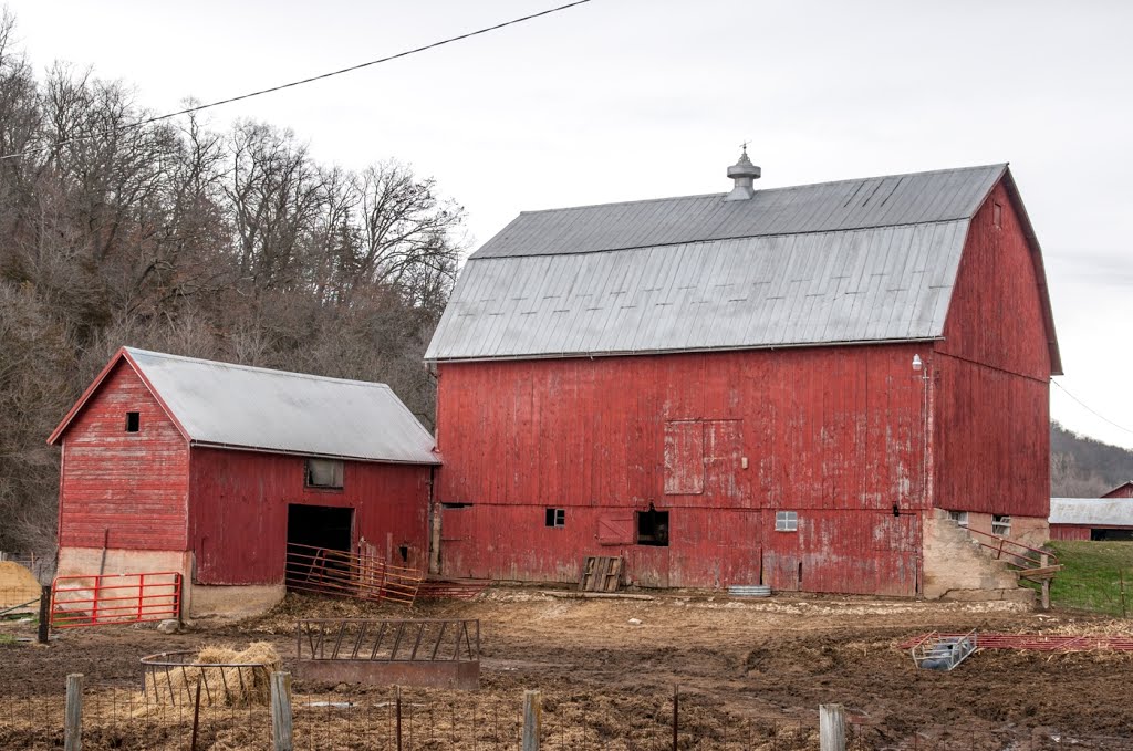 Country Farm by D200DX