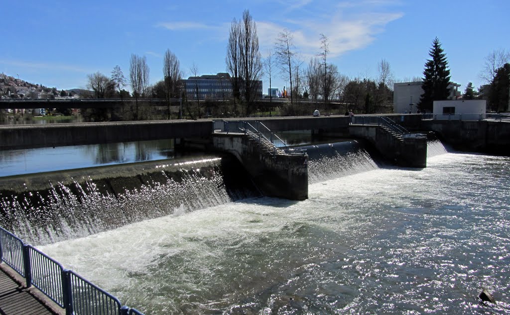 Stramazzo idraulico sulla Limmat presso la Werdinsel by Claudio Pedrazzi