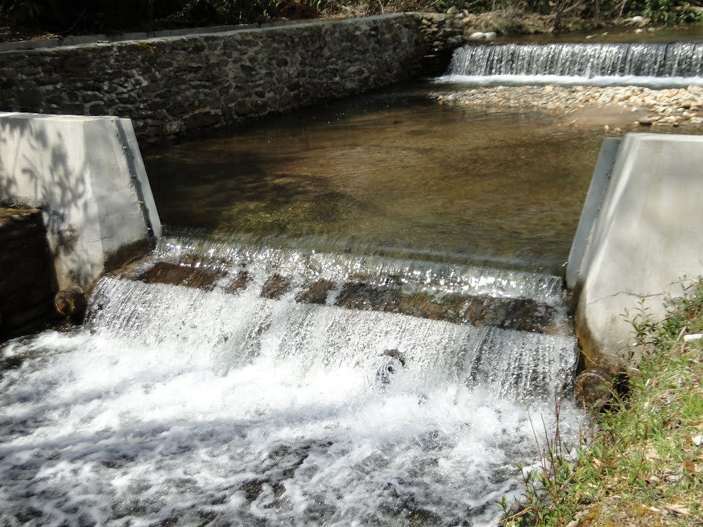 Shope Fork Weir Blade by John Hains