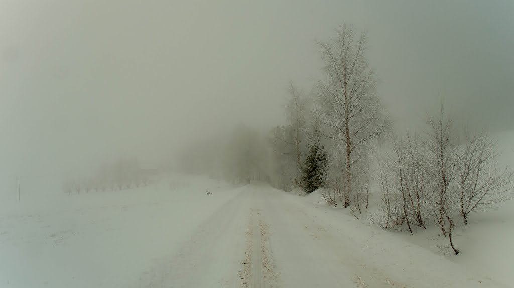 Hard Winter... Snow, Frost & Fog by Krzysio Milewicz