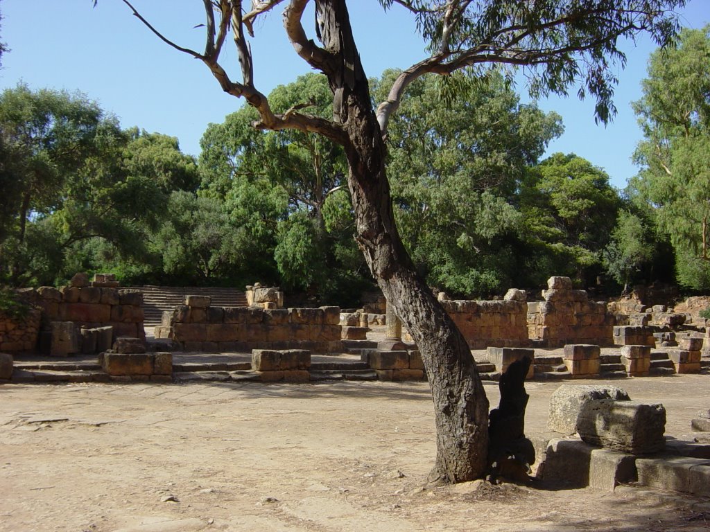 Tipasa, Algeria by SpagBog