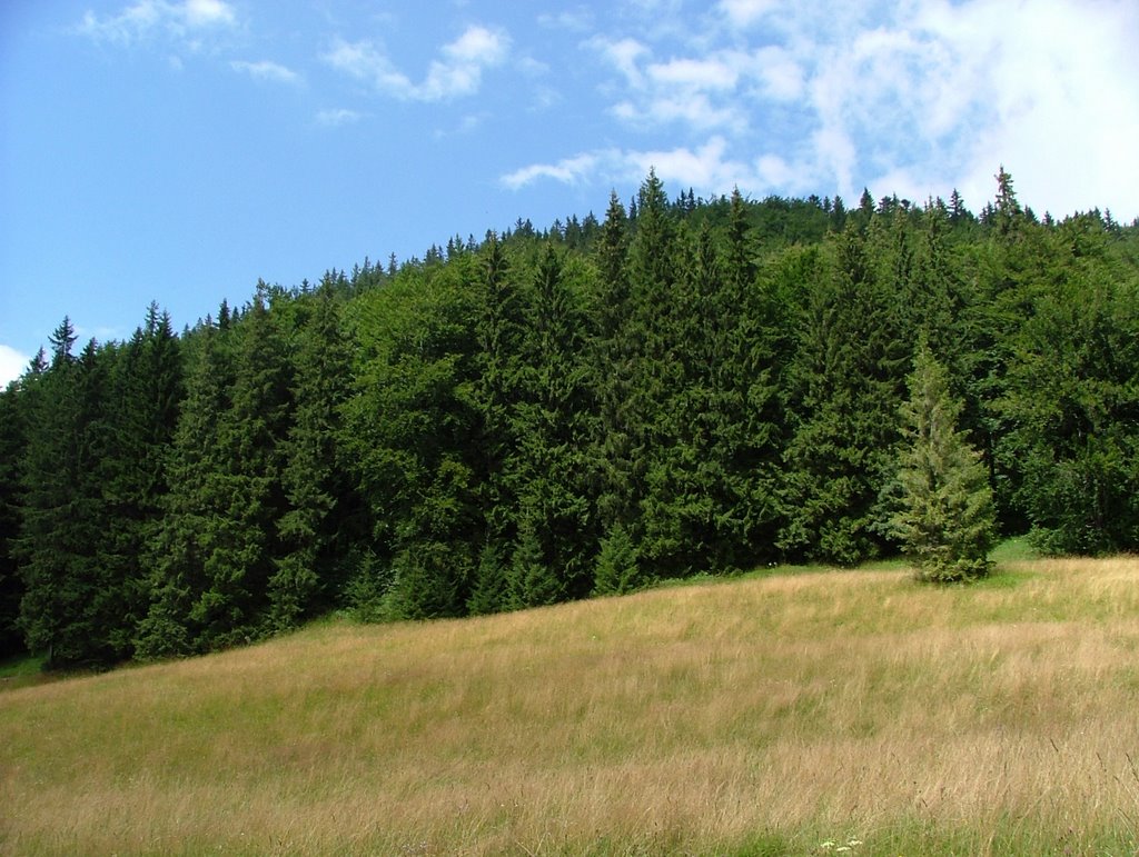 Landscape near Muran by angabor